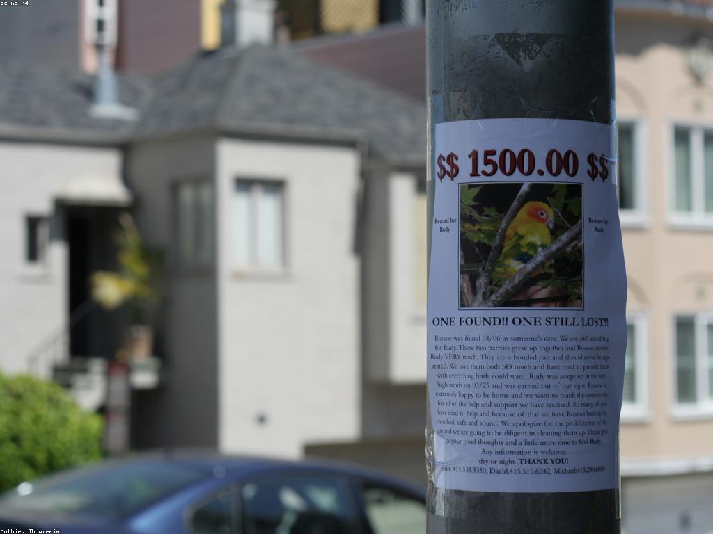 ការបង្កើតកម្រងប្រាក់រង្វាន់សម្រាប់អាជីវកម្ម