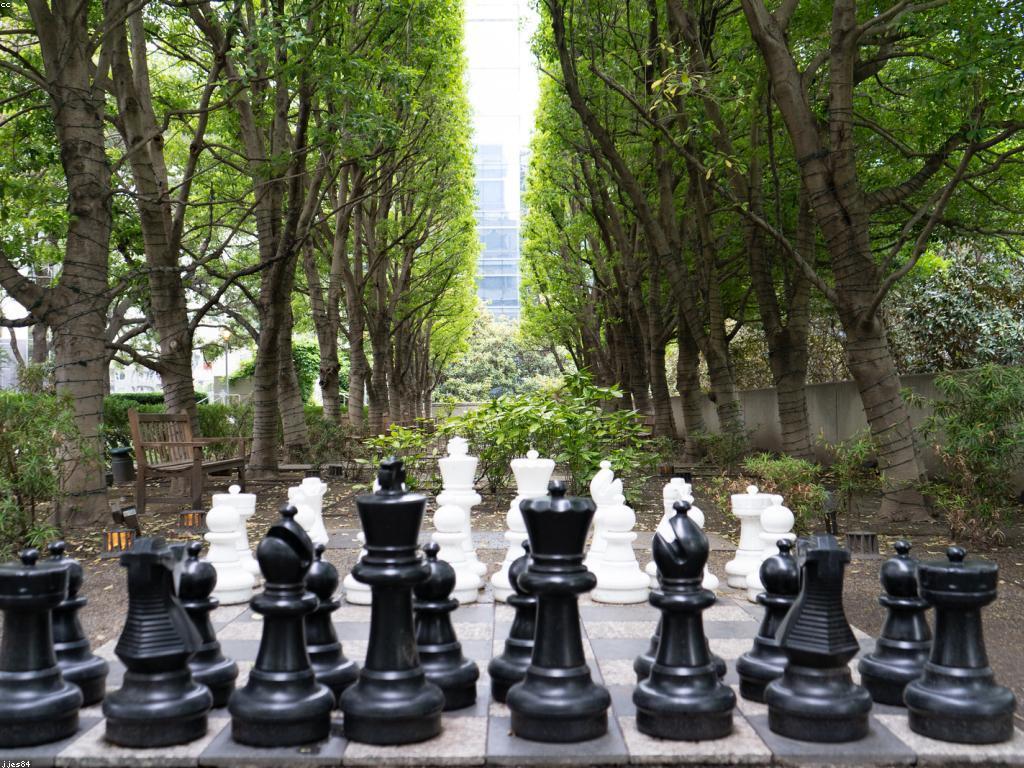 យុទ្ធសាស្ត្រ និងក្បួនសម្រាប់ជោគជ័យ