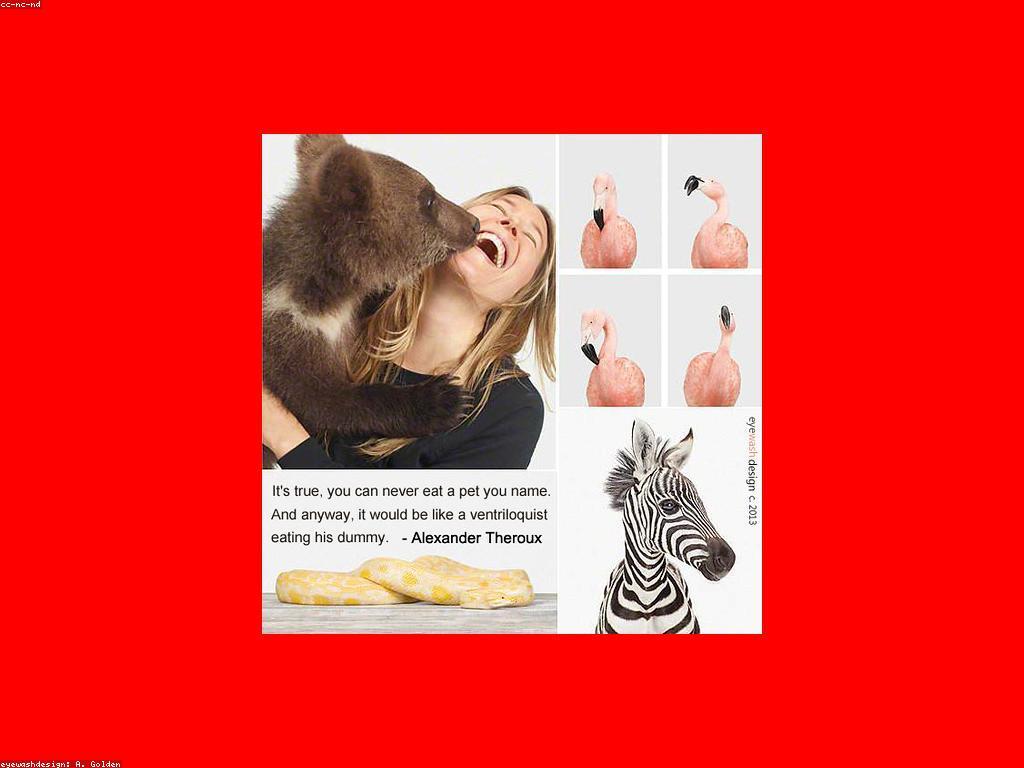 យុទ្ធសាស្ត្រ និងក្បួនសម្រាប់ការអភិវឌ្ឍន៍ផ្ទាល់ខ្លួន